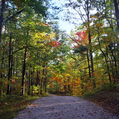 Old Auxier Ridge Road